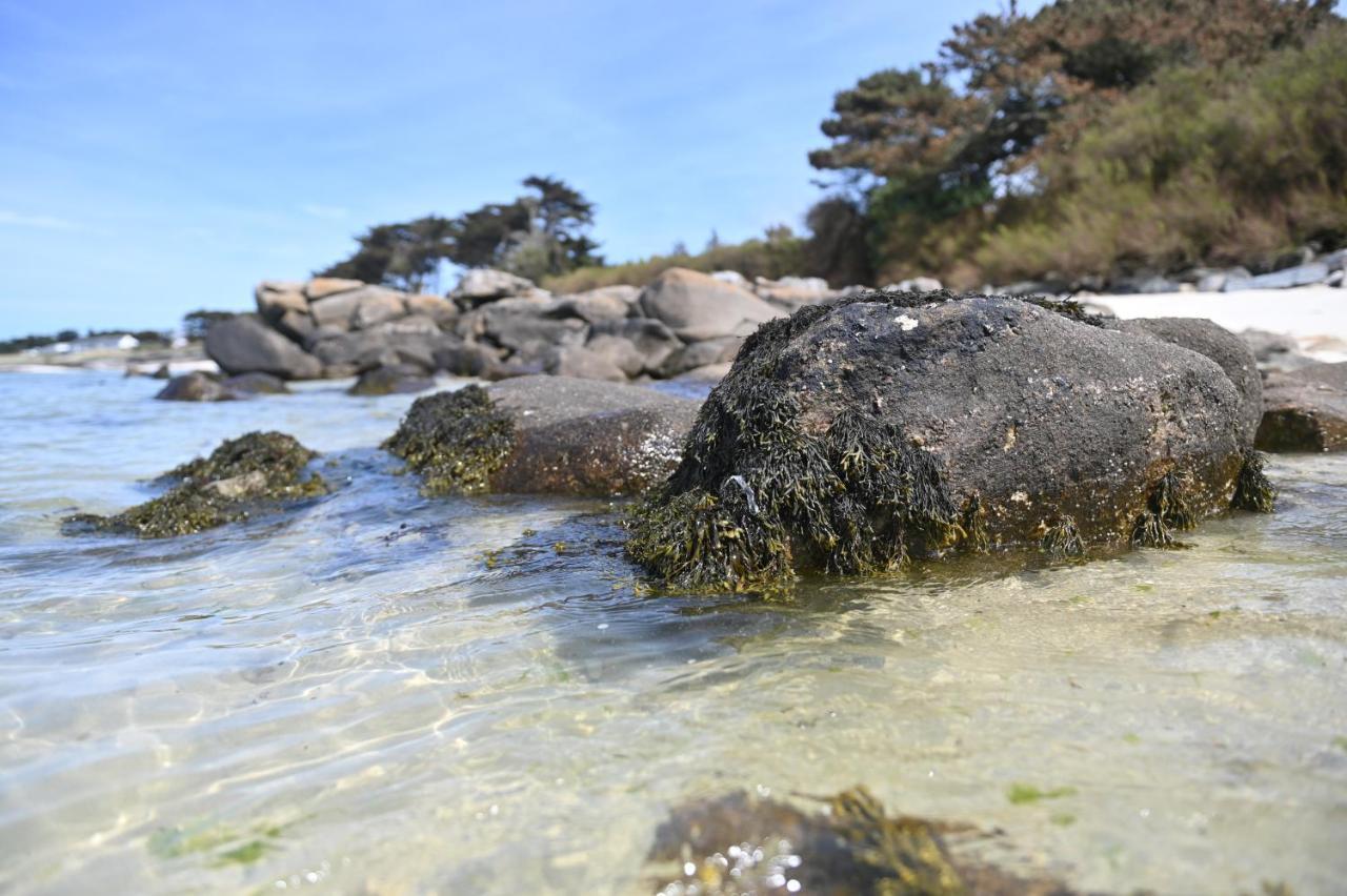 Entre Terre Et Mer Plougoulm ภายนอก รูปภาพ
